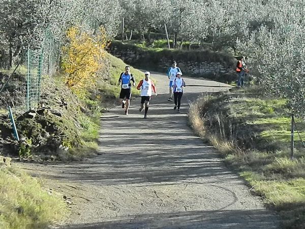 Premi per vedere l'immagine alla massima grandezza