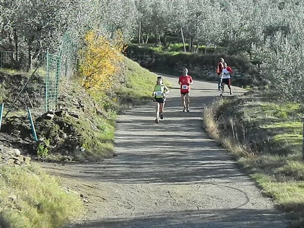 Premi per vedere l'immagine alla massima grandezza