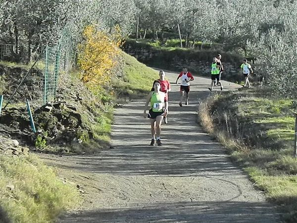 Premi per vedere l'immagine alla massima grandezza