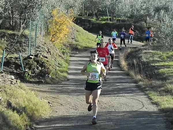 Premi per vedere l'immagine alla massima grandezza