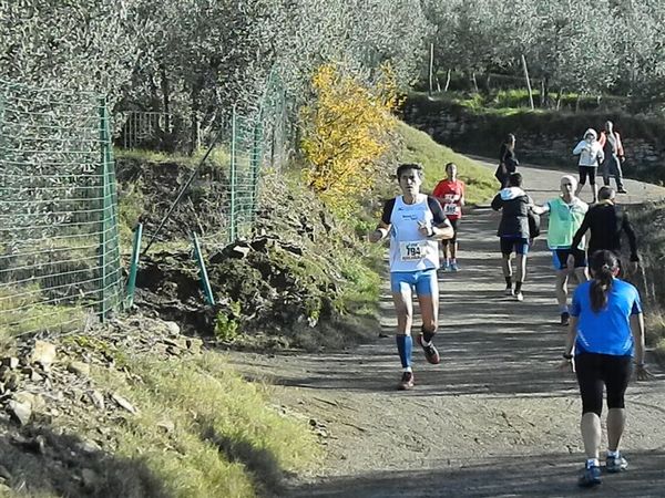 Premi per vedere l'immagine alla massima grandezza