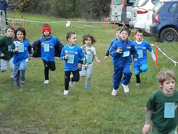 Premi per vedere l'immagine alla massima grandezza