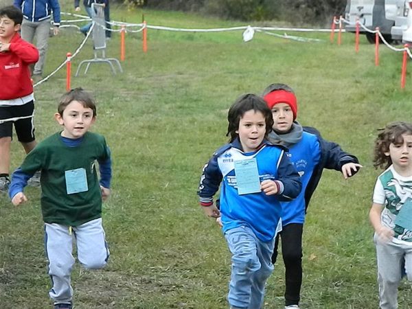 Premi per vedere l'immagine alla massima grandezza