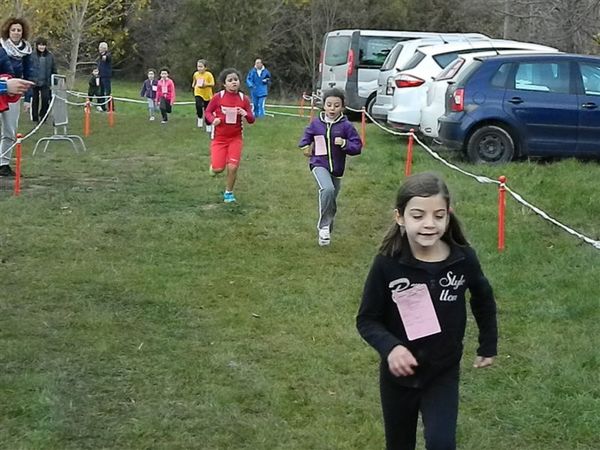 Premi per vedere l'immagine alla massima grandezza