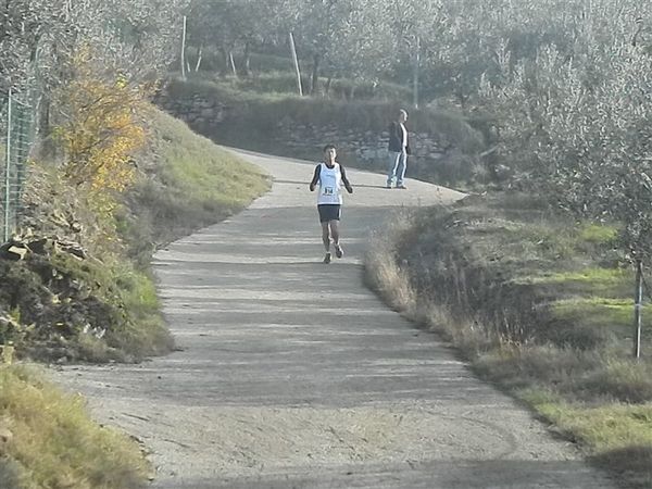 Premi per vedere l'immagine alla massima grandezza