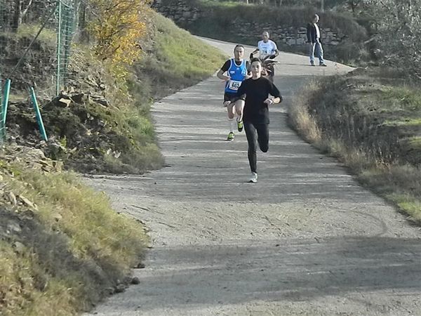 Premi per vedere l'immagine alla massima grandezza