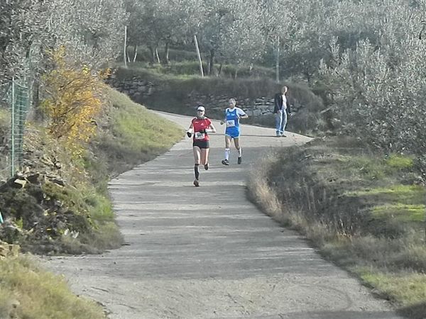 Premi per vedere l'immagine alla massima grandezza