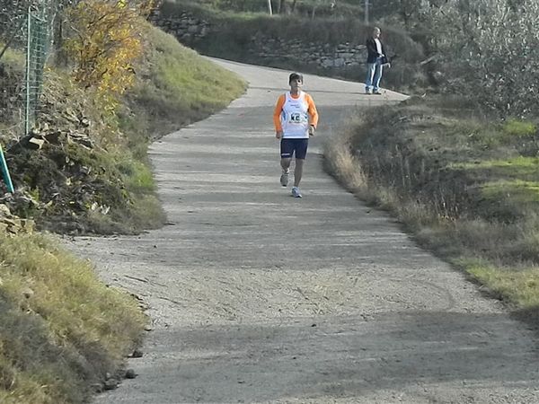 Premi per vedere l'immagine alla massima grandezza