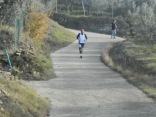 Premi per vedere l'immagine alla massima grandezza