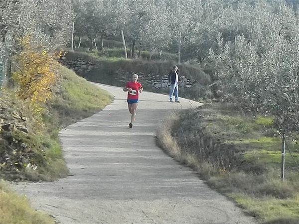 Premi per vedere l'immagine alla massima grandezza