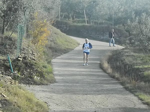 Premi per vedere l'immagine alla massima grandezza