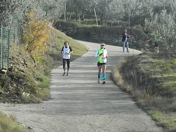 Premi per vedere l'immagine alla massima grandezza