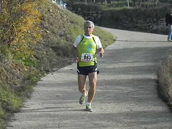 Premi per vedere l'immagine alla massima grandezza