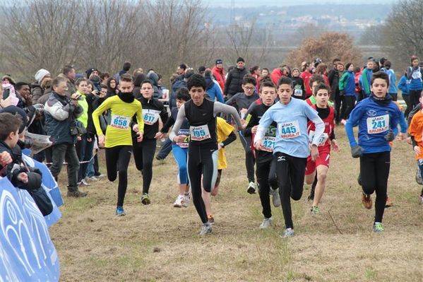 Premi per vedere l'immagine alla massima grandezza