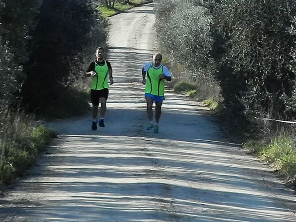 Premi per vedere l'immagine alla massima grandezza