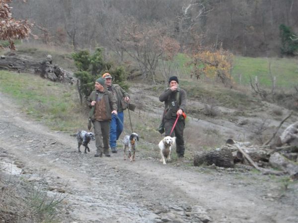 Premi per vedere l'immagine alla massima grandezza