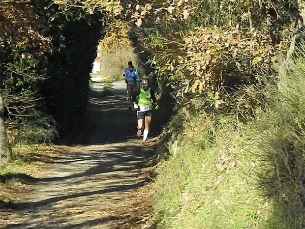 Premi per vedere l'immagine alla massima grandezza