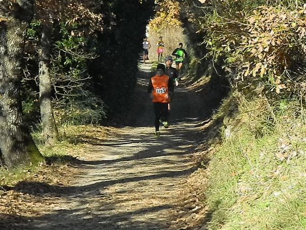 Premi per vedere l'immagine alla massima grandezza