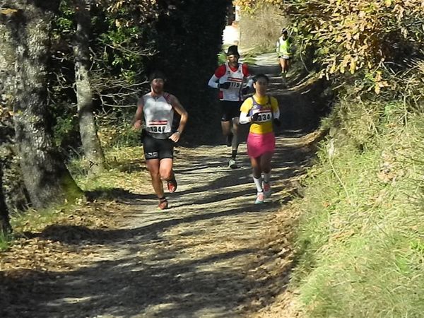 Premi per vedere l'immagine alla massima grandezza