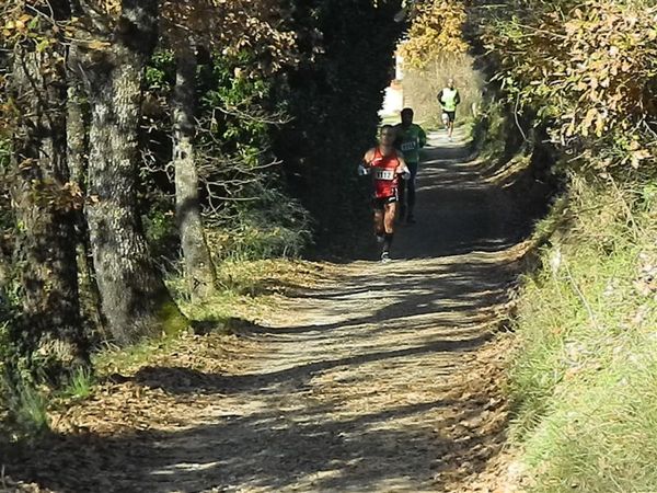 Premi per vedere l'immagine alla massima grandezza