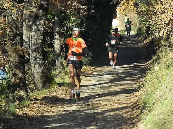 Premi per vedere l'immagine alla massima grandezza