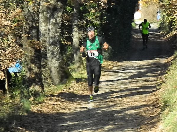 Premi per vedere l'immagine alla massima grandezza