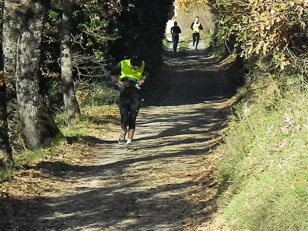 Premi per vedere l'immagine alla massima grandezza