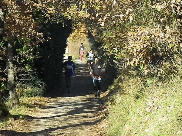 Premi per vedere l'immagine alla massima grandezza