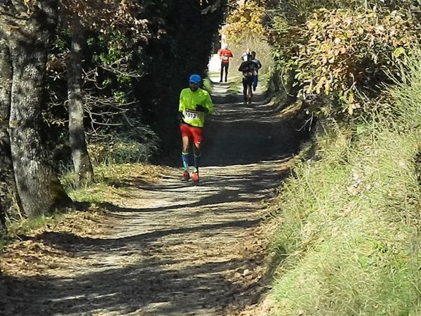 Premi per vedere l'immagine alla massima grandezza