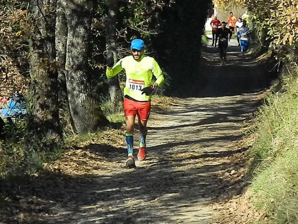 Premi per vedere l'immagine alla massima grandezza