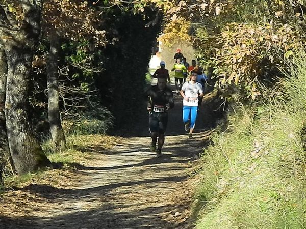 Premi per vedere l'immagine alla massima grandezza