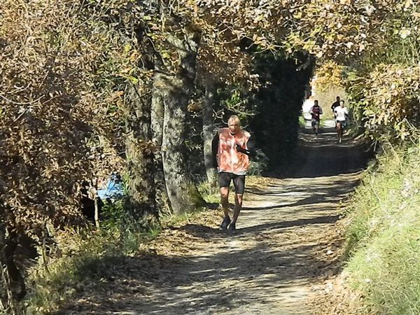 Premi per vedere l'immagine alla massima grandezza