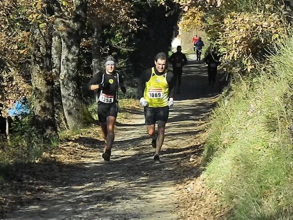 Premi per vedere l'immagine alla massima grandezza