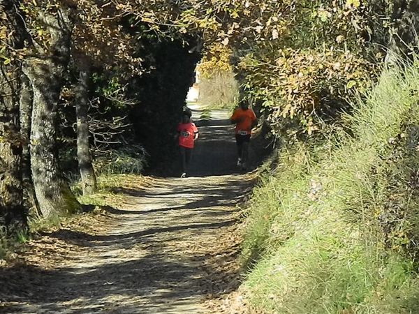 Premi per vedere l'immagine alla massima grandezza