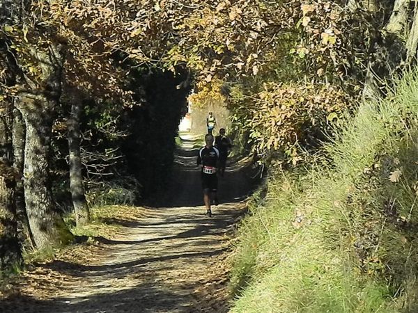 Premi per vedere l'immagine alla massima grandezza