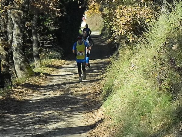 Premi per vedere l'immagine alla massima grandezza