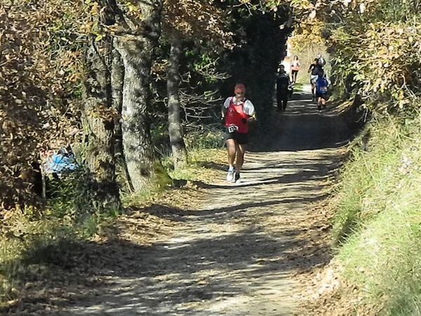 Premi per vedere l'immagine alla massima grandezza