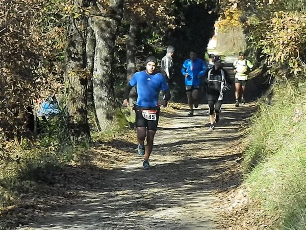 Premi per vedere l'immagine alla massima grandezza