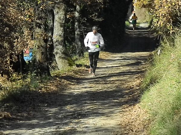 Premi per vedere l'immagine alla massima grandezza