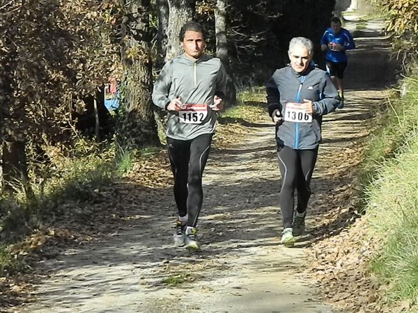 Premi per vedere l'immagine alla massima grandezza