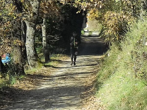 Premi per vedere l'immagine alla massima grandezza