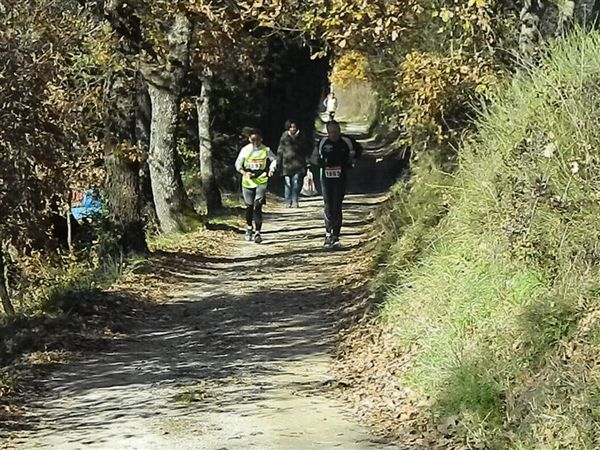 Premi per vedere l'immagine alla massima grandezza