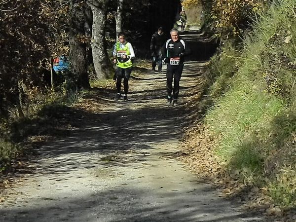 Premi per vedere l'immagine alla massima grandezza