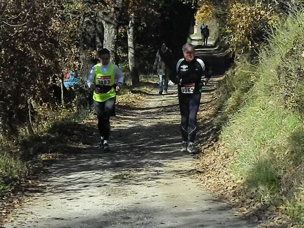 Premi per vedere l'immagine alla massima grandezza