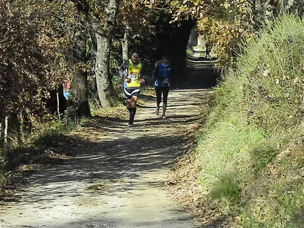 Premi per vedere l'immagine alla massima grandezza