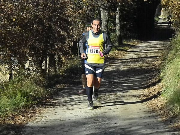 Premi per vedere l'immagine alla massima grandezza