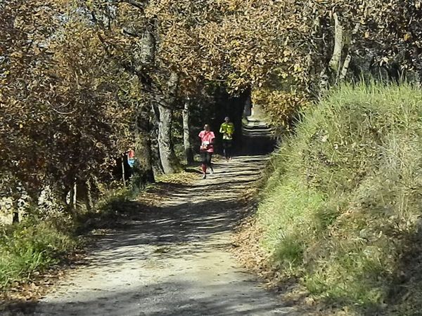 Premi per vedere l'immagine alla massima grandezza