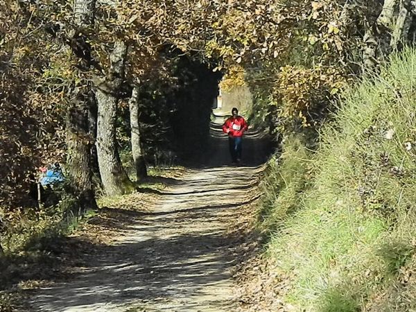 Premi per vedere l'immagine alla massima grandezza