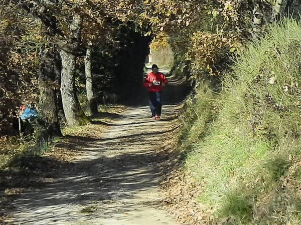 Premi per vedere l'immagine alla massima grandezza