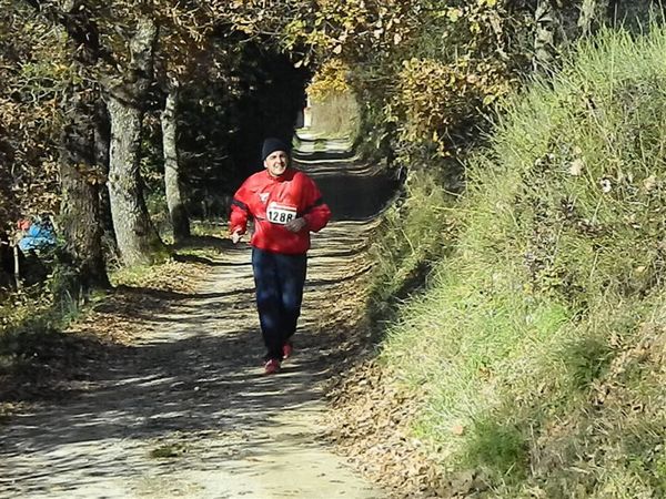 Premi per vedere l'immagine alla massima grandezza